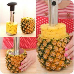 Stainless Pineapple Fruit Slicer Easy Cutter Peeler Plastic Kitchen Gadget Tool